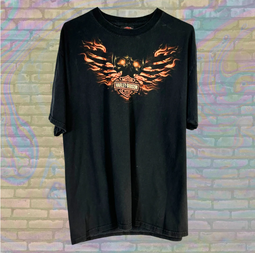 Retro Harley Davidson Flaming Winged Skull South Carolina T-shirt - Large