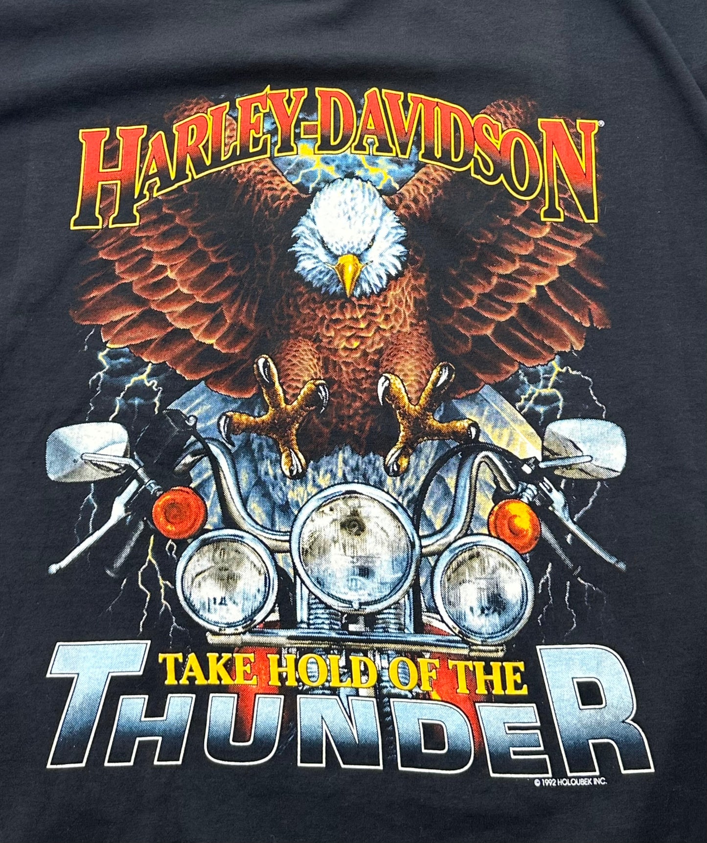 Vintage 1990s Harley Davidson Holoubek Take Hold of the Thunder T-shirt - Large