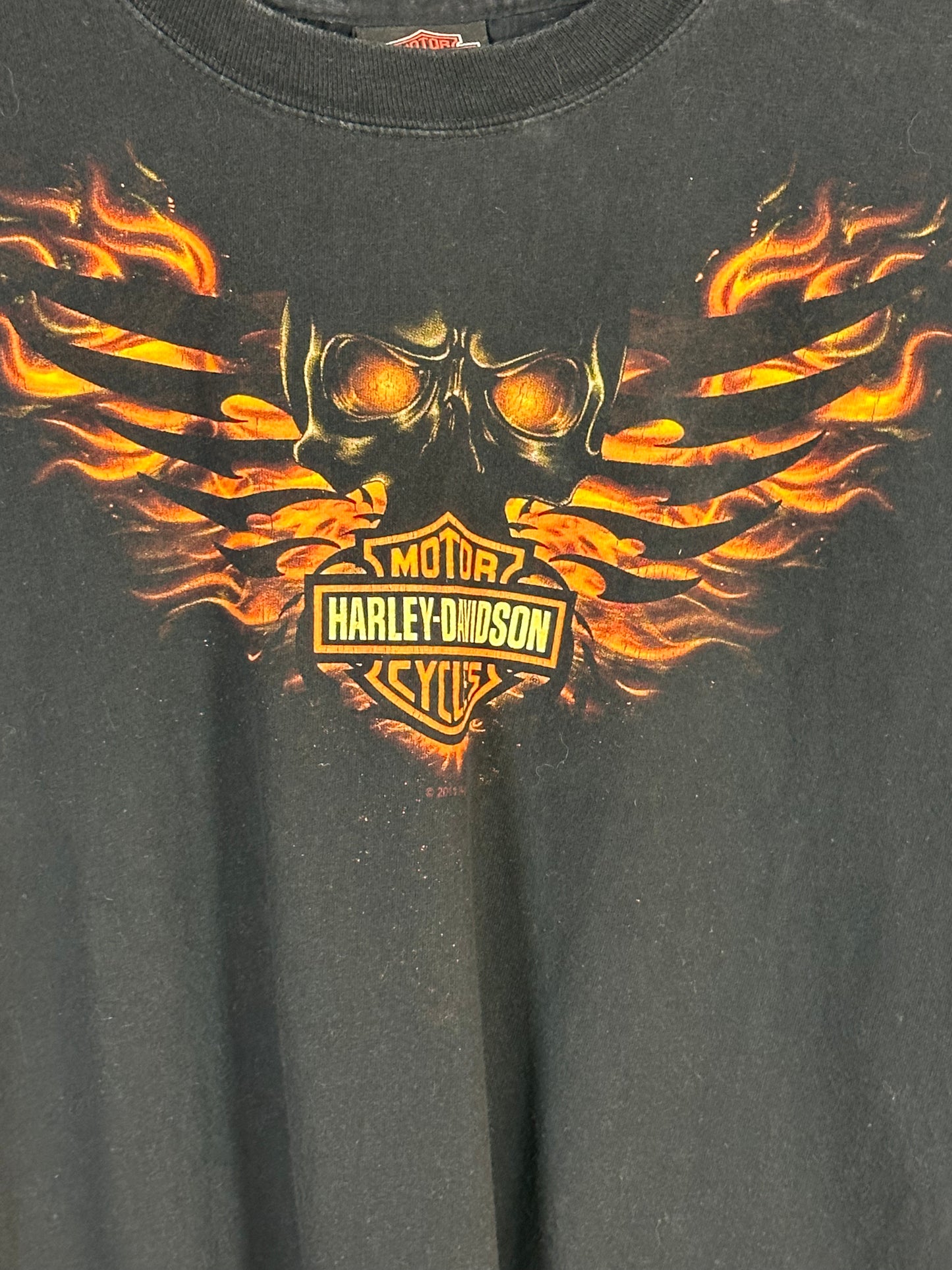 Retro Harley Davidson Flaming Winged Skull South Carolina T-shirt - Large