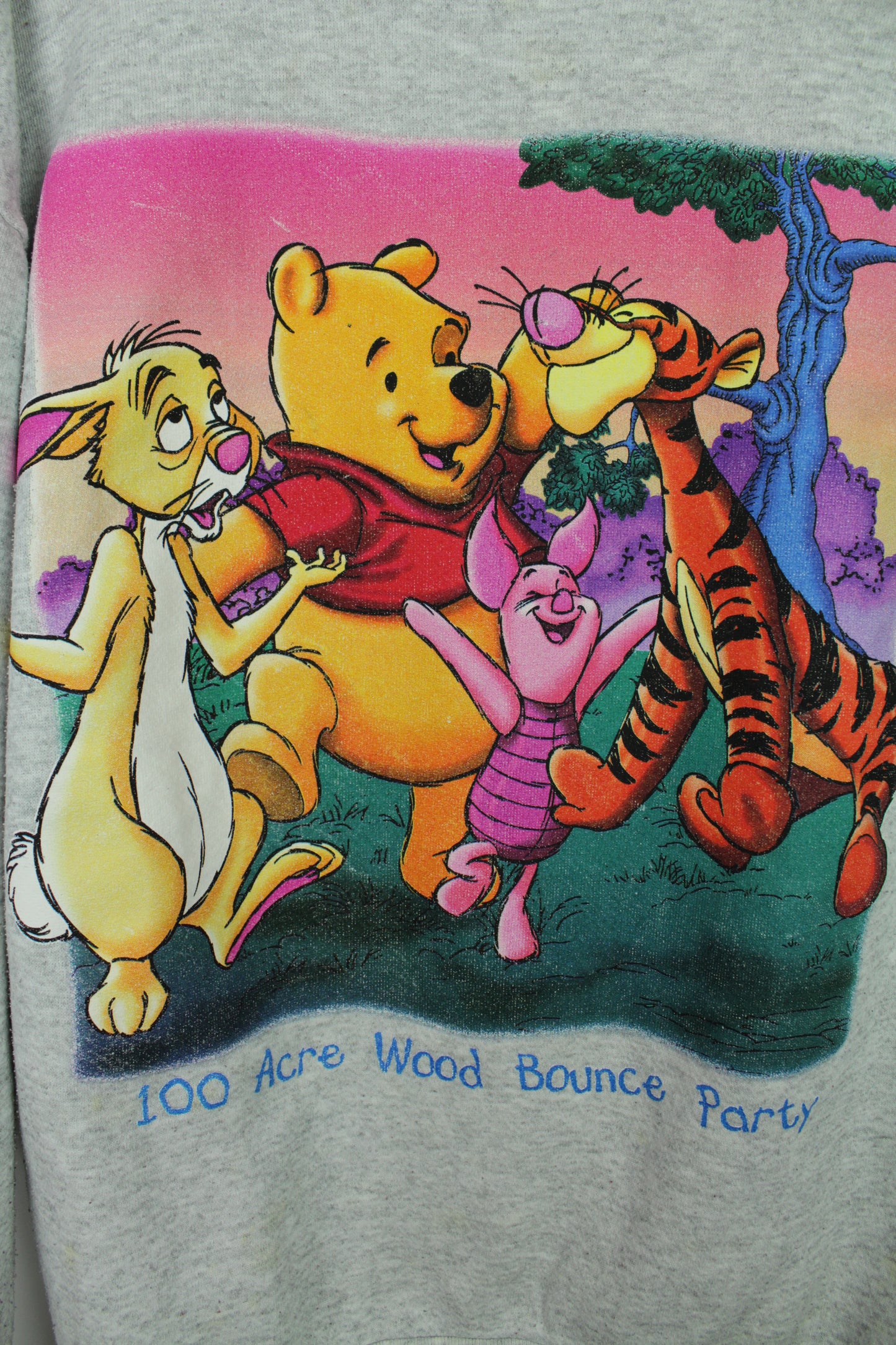 Vintage 90s Disney Pooh 100 Acres Bounce Party Crewneck - Large