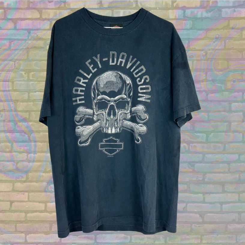 Harley Davidson Skull Rochelle Park T-shirt - Extra Large