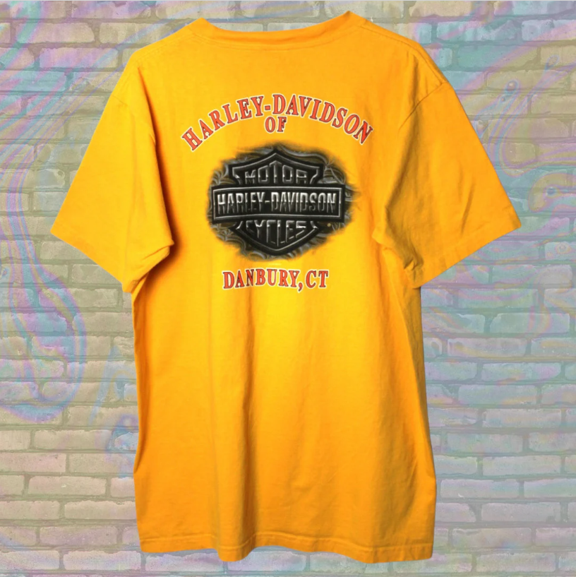 Vintage Harley Davidson Eagle Danbury Connecticut T-shirt - Large