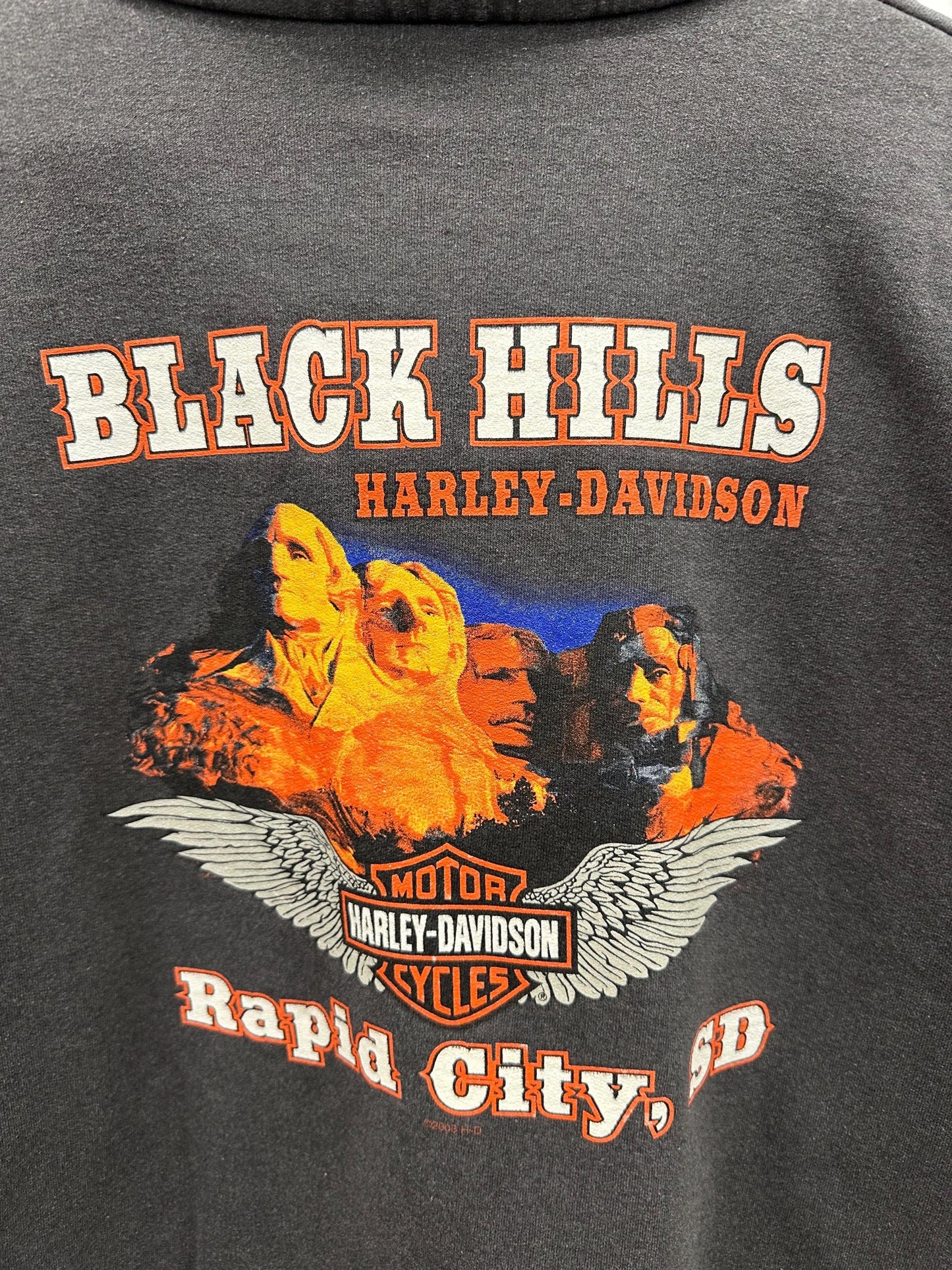 Vintage Harley-Davidson Black Hills Quarter Zip Y2K Sweatshirt Size 2XL