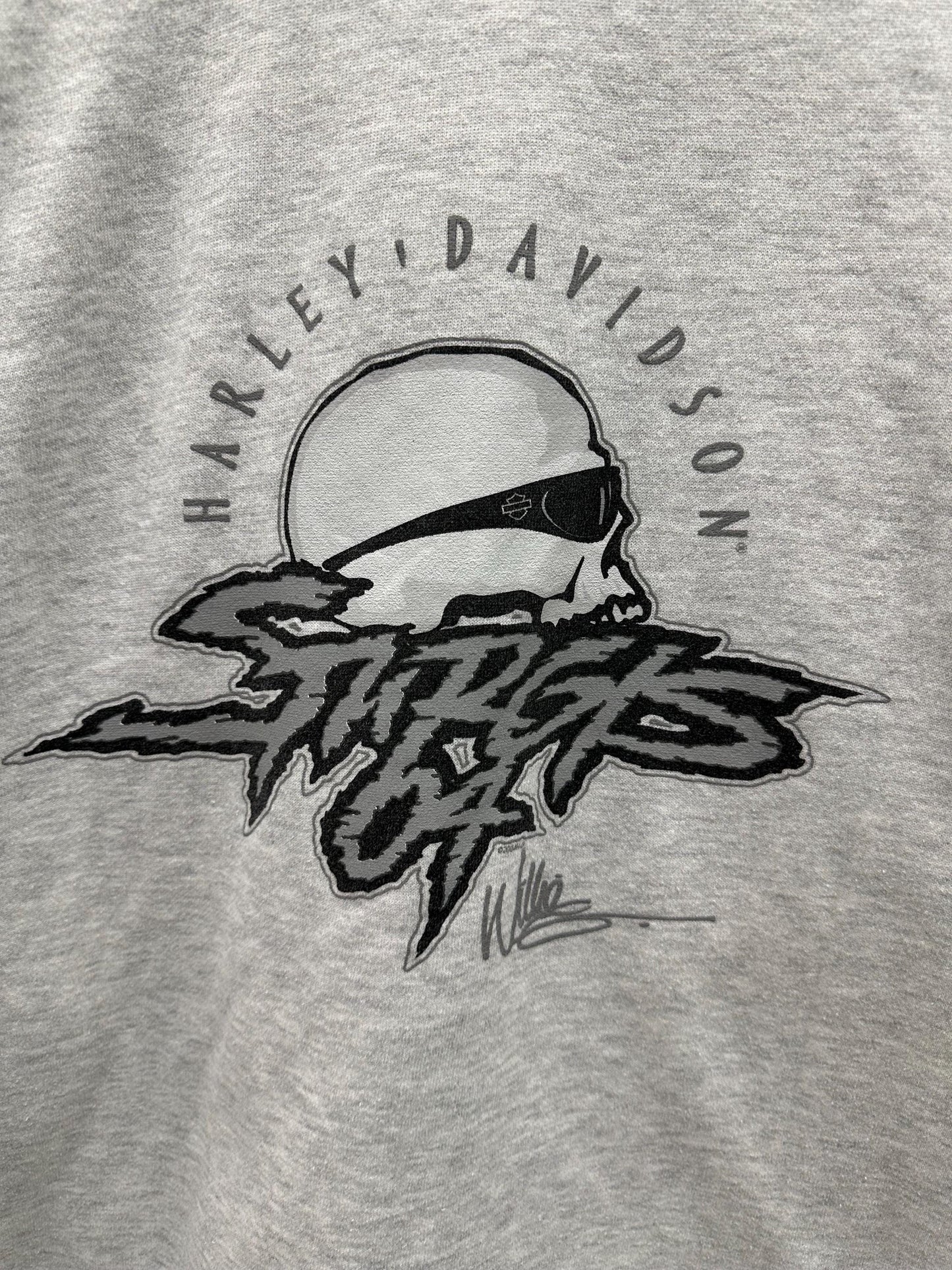 Vintage Harley-Davidson Sturgis Quarter Zip Y2K Sweatshirt Size 2XL