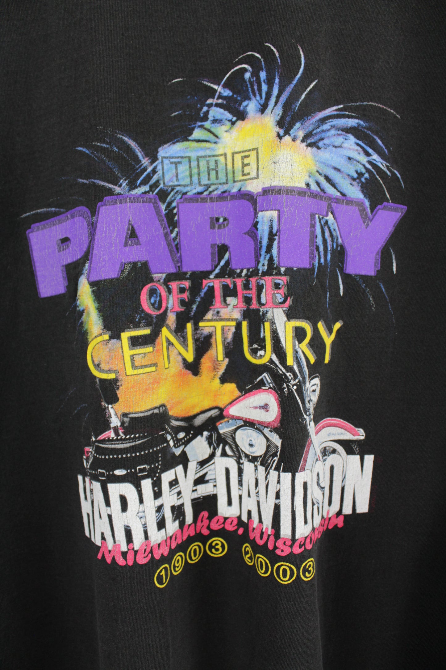 Vintage Harley Davidson "Party of the Century" Long Sleeve - Large